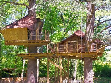 Ouistitis treehouse