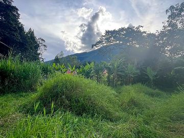Bosque de conservación 5 minutos de la ciudad de Oxapampa. Último refugio natural en la ciudad.