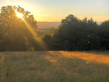 Camping field at sunset