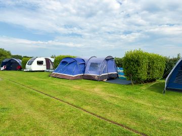 Gold grass pitches