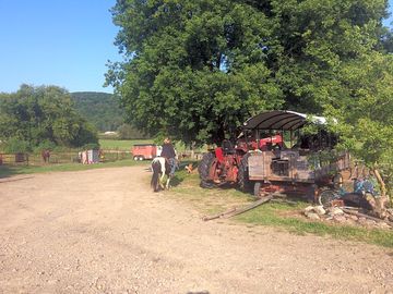 Farm life