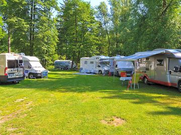 Tree-shaded grass pitches