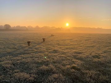 Sunrise of the fields