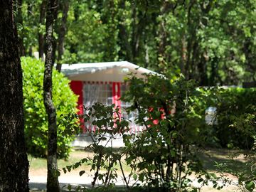 Pitches surrounded by trees