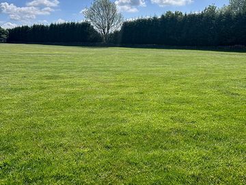 Grass pitches