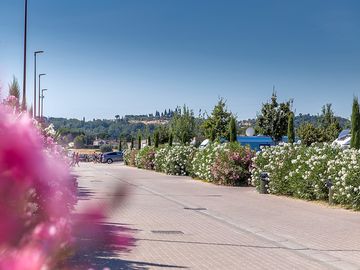 Wide flower-lined path through the site