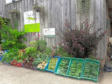 Farm shop