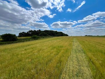 Large three-acre site