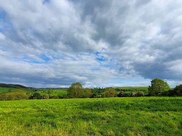 View from the site