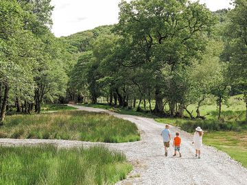 On the way to the hardstanding pitches