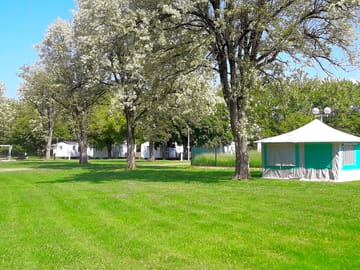 Pitches close to blossoming trees