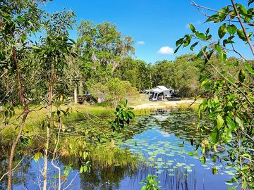 Sanctuary pond with bird hide