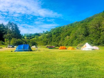 Visitor image of the campsite view