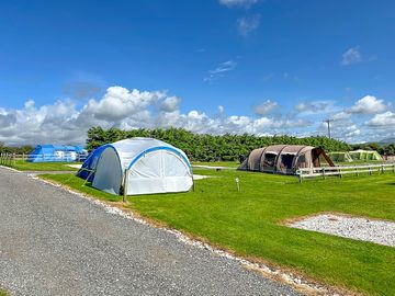 Electric Grass tent pitches