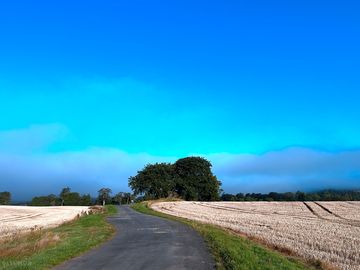 Path to the pitches