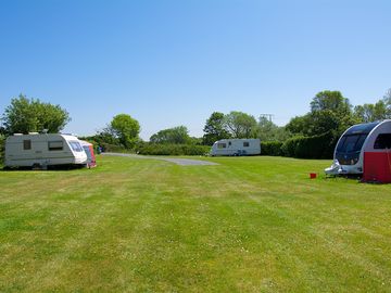 Electric and non-electric pitches in poplar enclosure