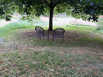 Relax in the shade