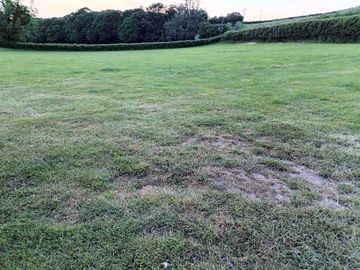 Choose your spot in the spacious field