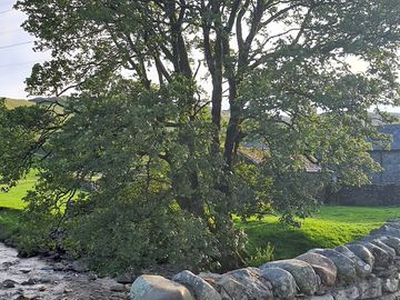 Pitches by the river