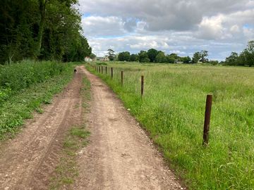 Path towards the site