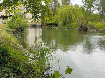 The river seugne