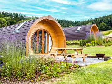 Pods with picnic benches and greenery