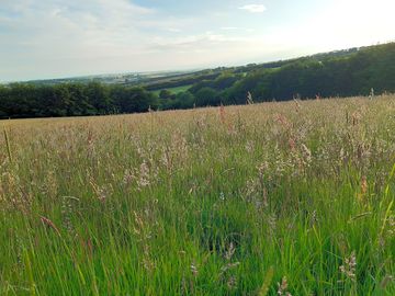 Stunning view from one of the pitches