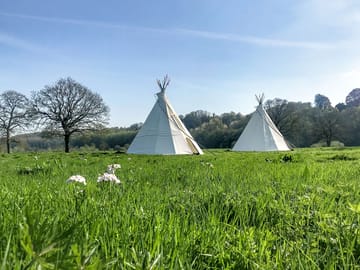 Lots of space around the tipis