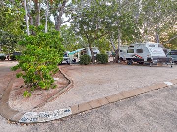 Bays under the trees