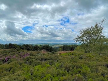 View from the top field
