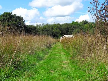 Pathway to tent