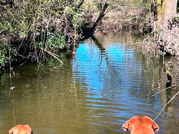 River access in adult field