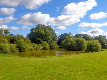 Camping field overlooking the lake