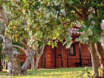 Cottage exterior
