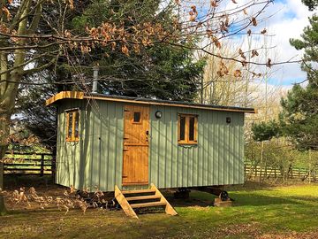 Shepherd's hut