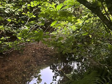 Lovely river at the bottom of the field.