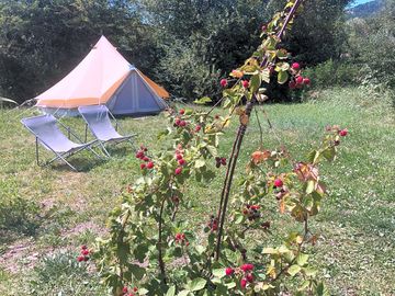 Bell tent pitch