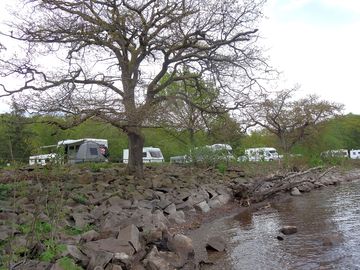 Site from the loch
