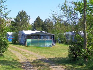 Tree-shaded pitches