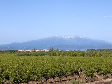 Site among vines between the sea and mountains