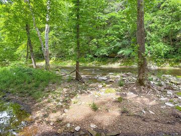 Primitive site edging the creek