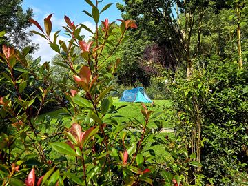 A quiet and green campsite