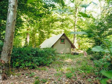 Microlodge tucked into woodland