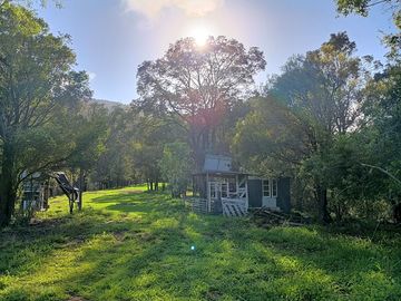 Around the grounds