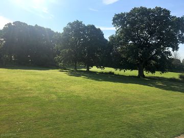 Grass tent pitches