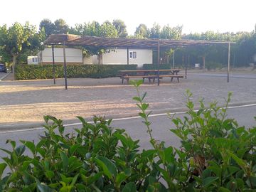 Around the site