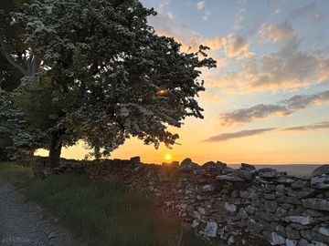 Wall sunset