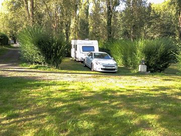 Spacious pitches surrounded by trees