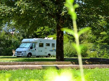 Grass pitches under the trees