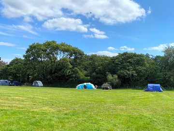 Tent pitches